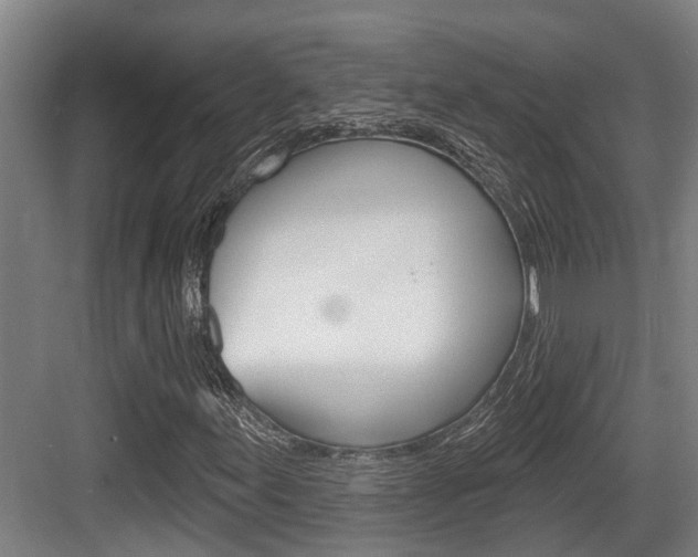 X0000083651155200702120829