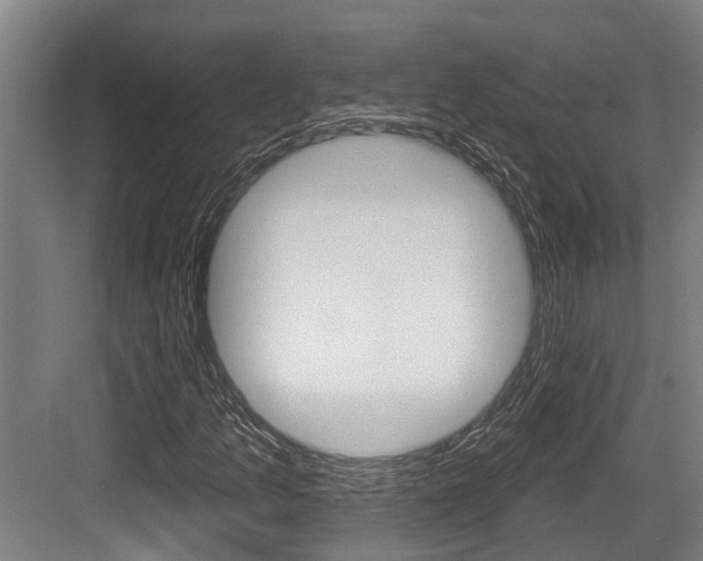 X0000083651157200702120829