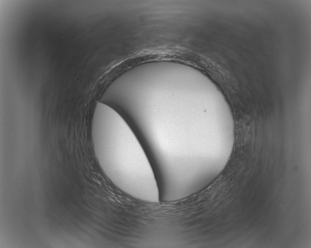 X0000083651158200702120829