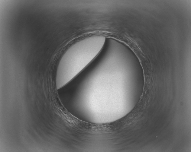 X0000083651159200702120829