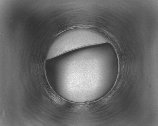 X0000083651161200702120829