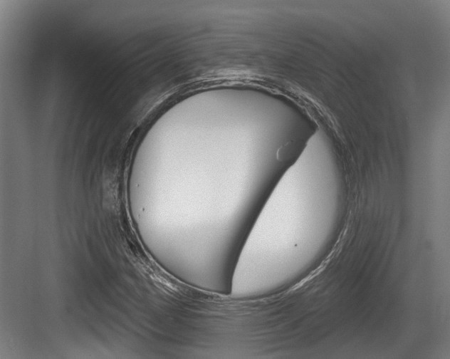 X0000083651162200702120829