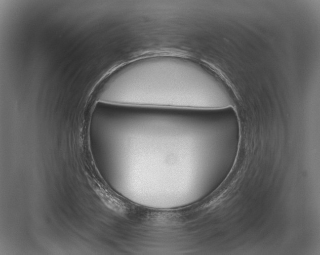 X0000083651163200702120829