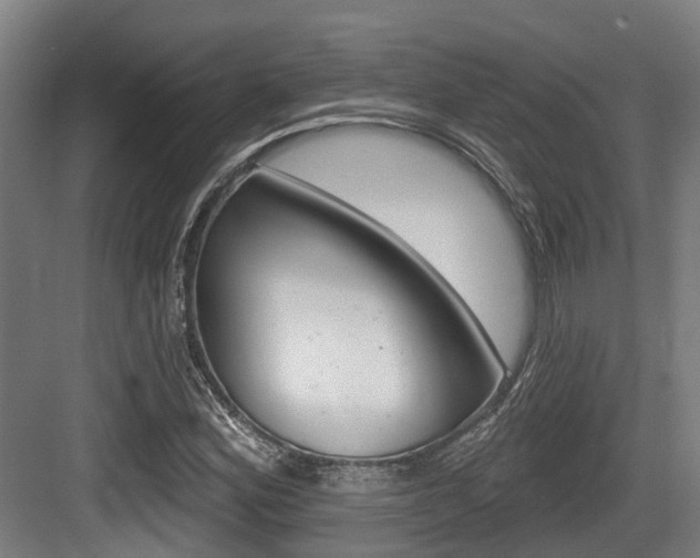 X0000083651164200702120829