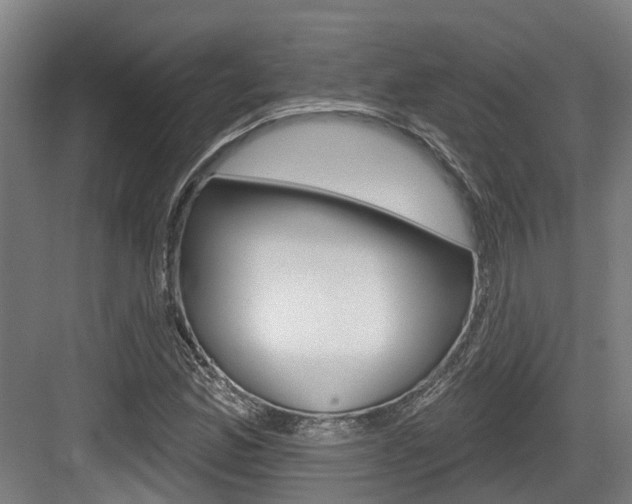 X0000083651165200702120829