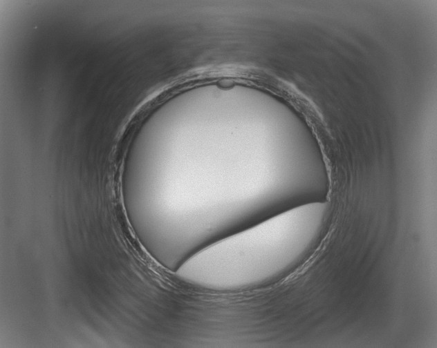 X0000083651166200702120829