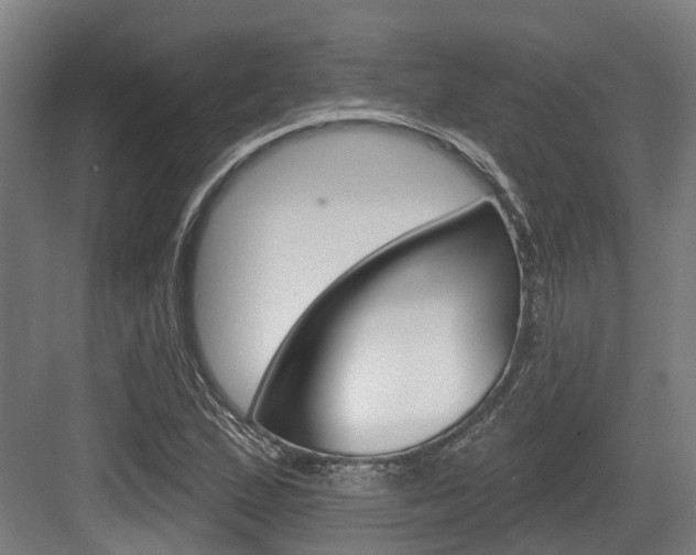 X0000083651167200702120829