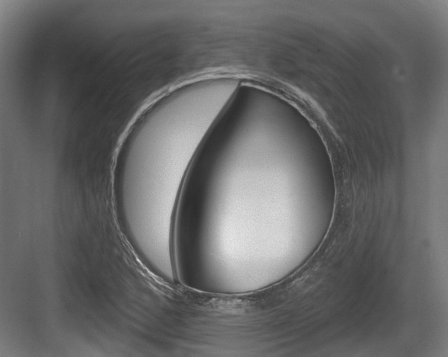 X0000083651168200702120829