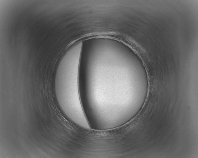 X0000083651169200702120829