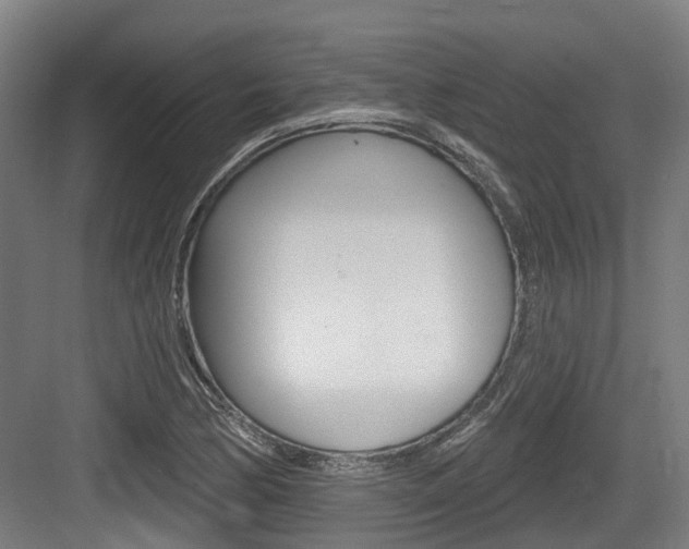 X0000083651170200702120828