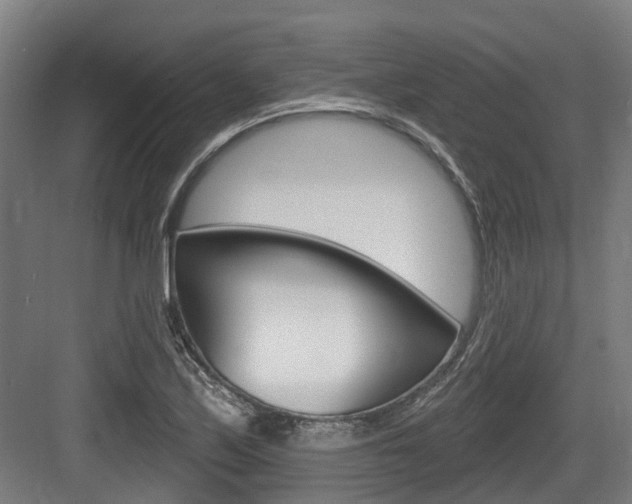 X0000083651171200702120828