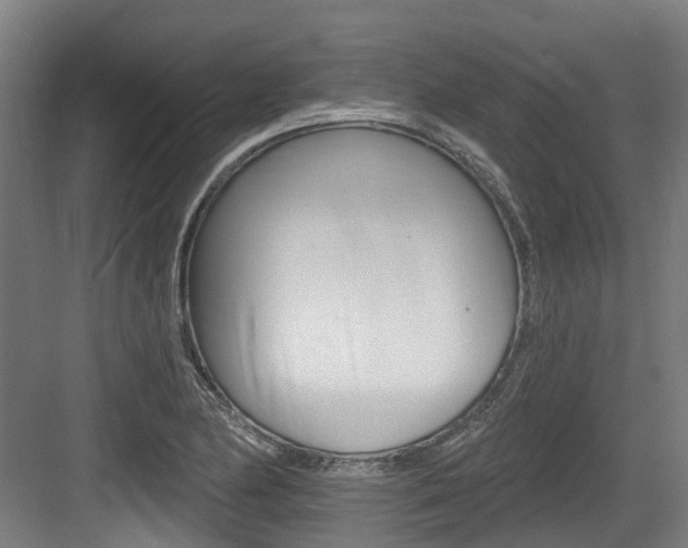 X0000083651174200702120828