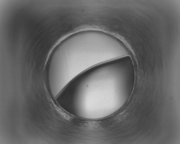 X0000083651175200702120828
