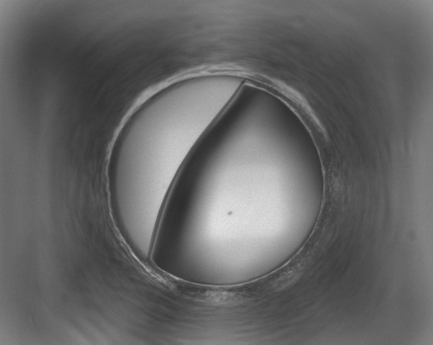X0000083651176200702120828