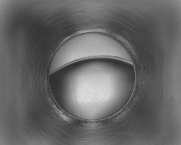 X0000083651177200702120828