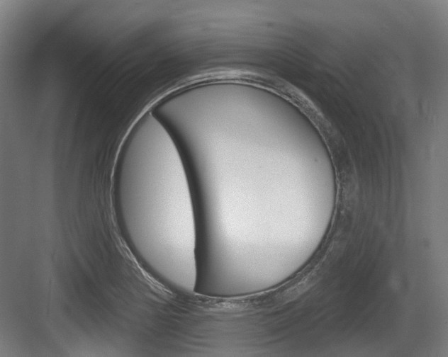 X0000083651178200702120828