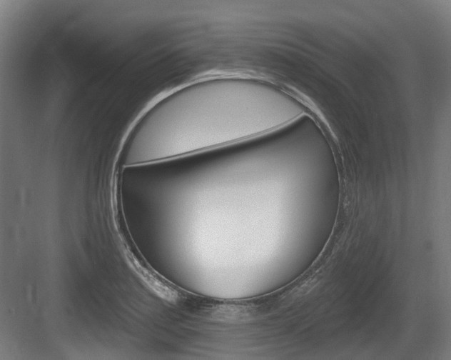 X0000083651179200702120828
