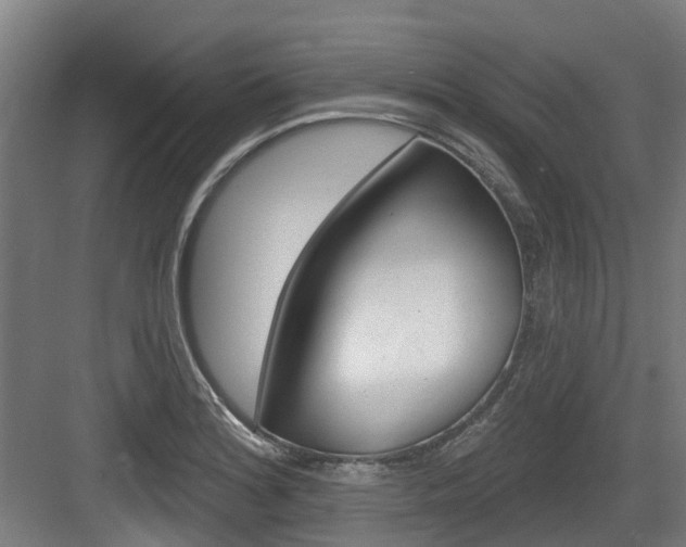 X0000083651180200702120828