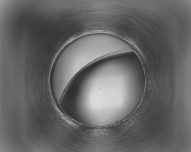 X0000083651181200702120828