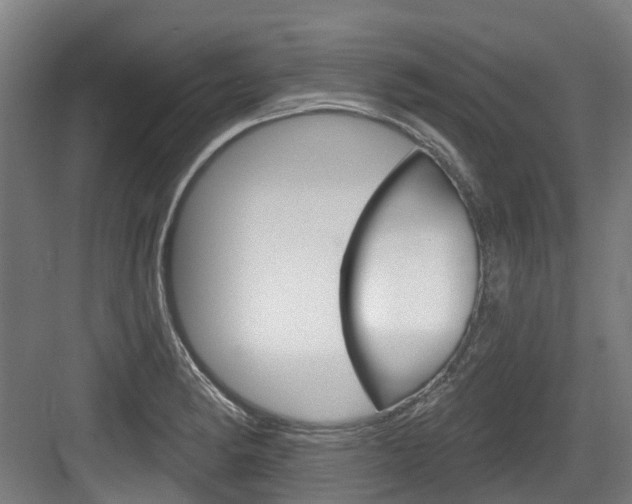 X0000083651182200702120828