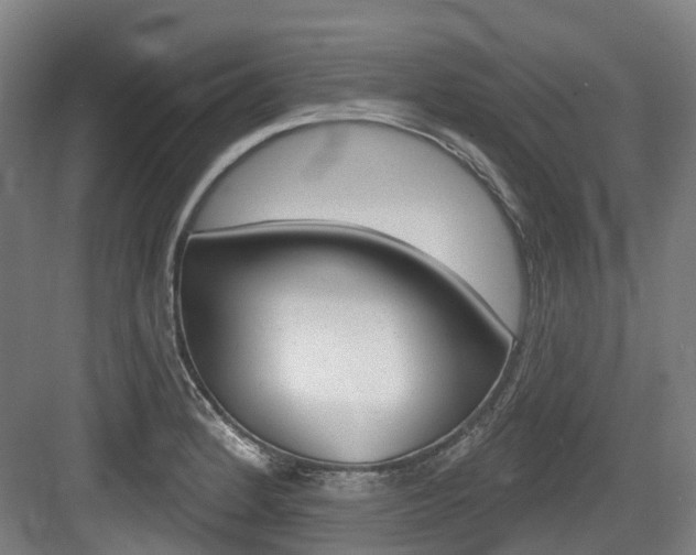 X0000083651184200702120828