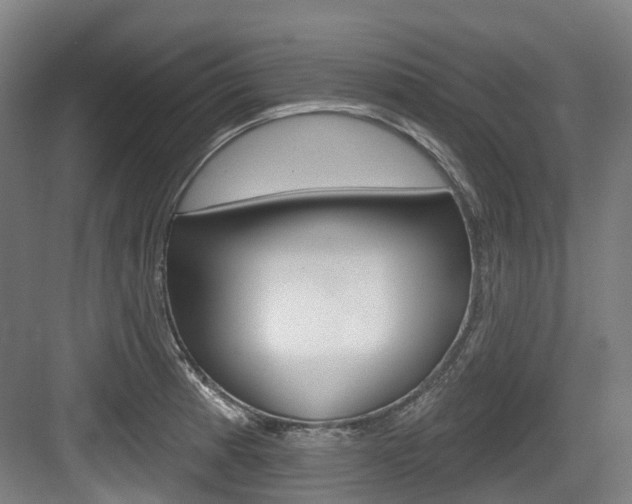 X0000083651185200702120828