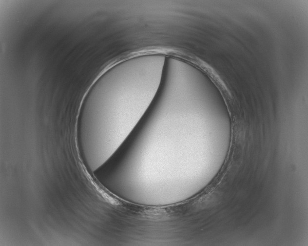 X0000083651186200702120828