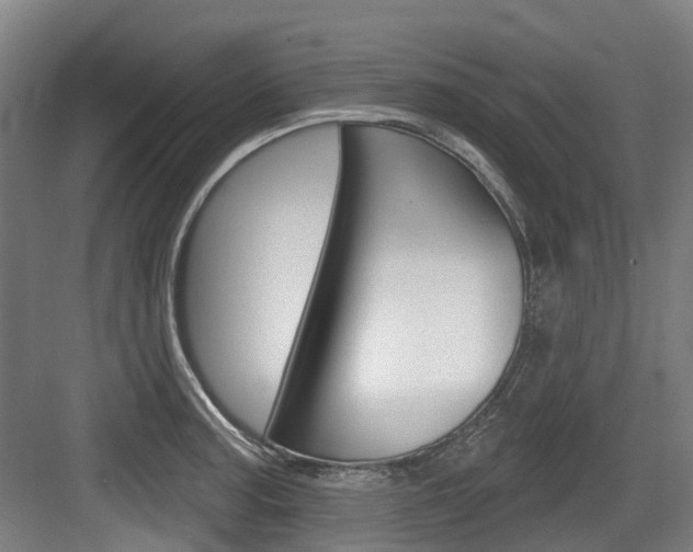 X0000083651187200702120828