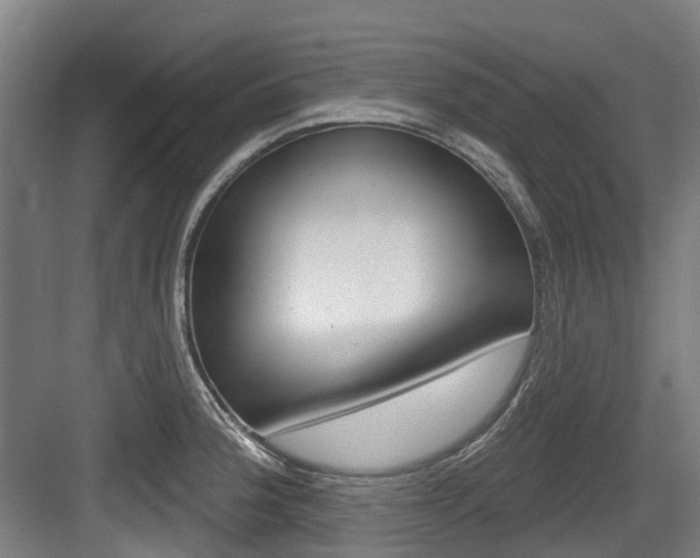X0000083651188200702120828