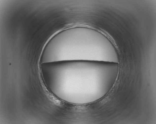 X0000083651190200702120828