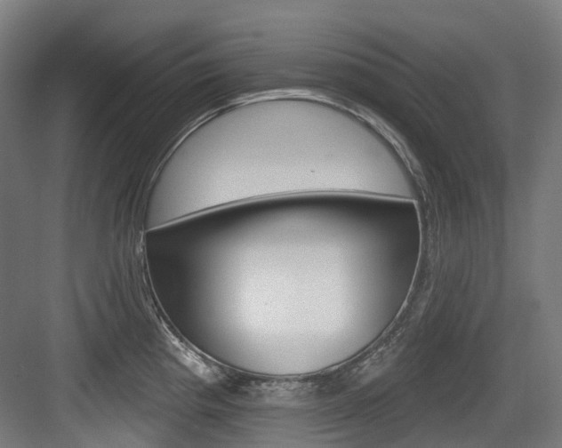 X0000083651193200702120828
