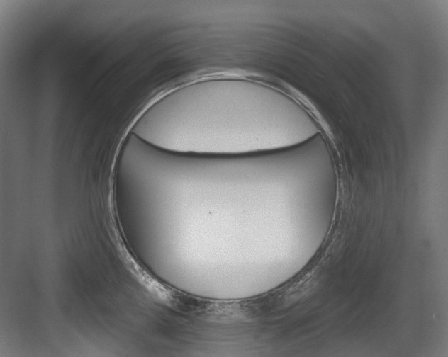 X0000083651194200702120828