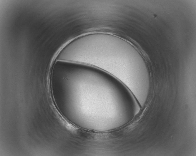 X0000083651196200702120828