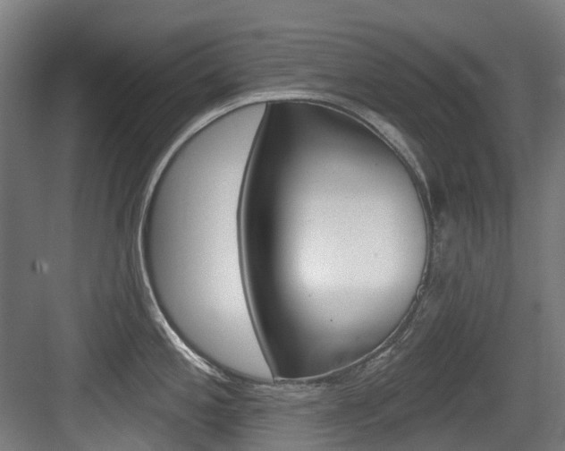 X0000083651197200702120828