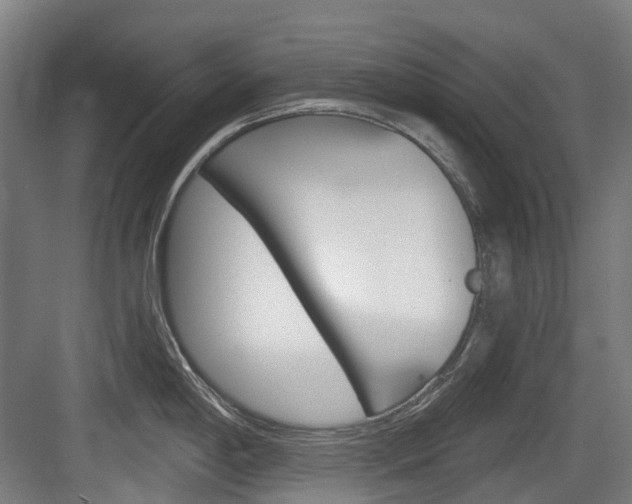 X0000083651198200702120828