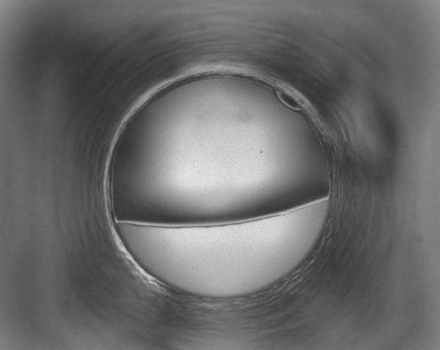 X0000083651199200702120828