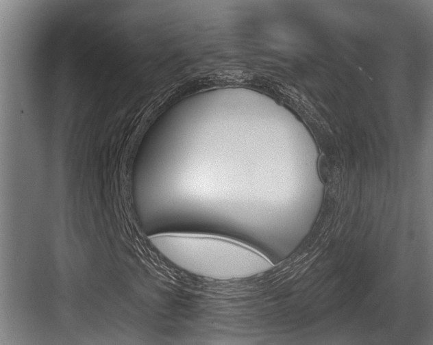 X0000083651201200702120827