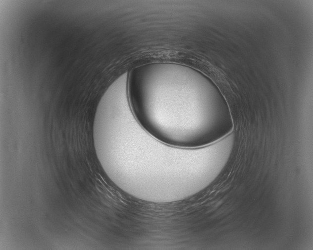 X0000083651202200702120827