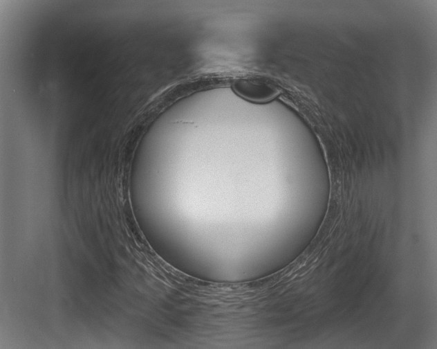 X0000083651205200702120827