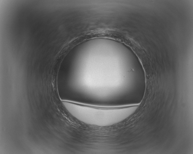X0000083651206200702120827