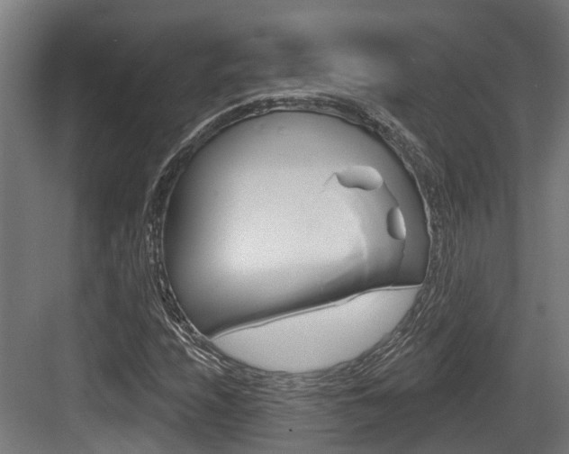 X0000083651208200702120827