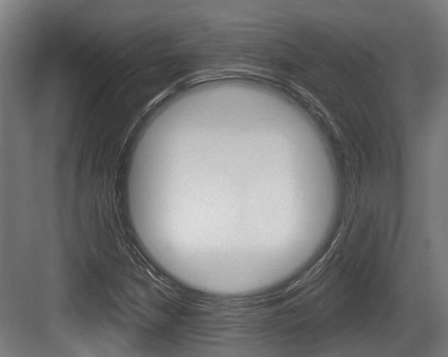 X0000083651210200702120827