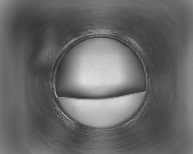 X0000083651212200702120827