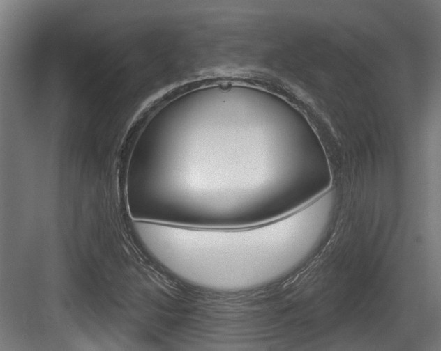 X0000083651214200702120827