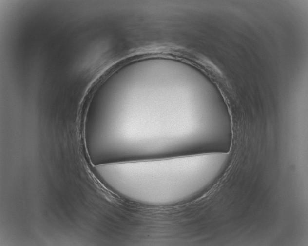 X0000083651216200702120827