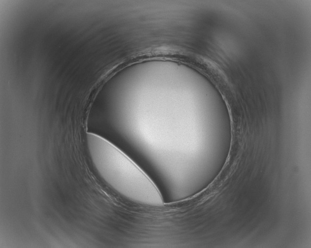 X0000083651217200702120827