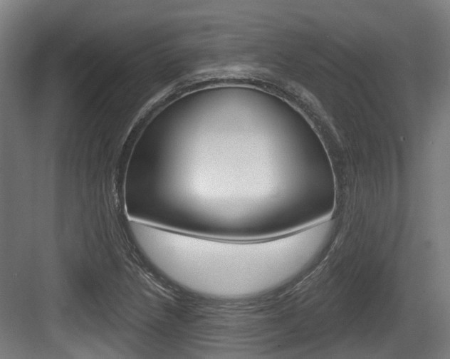 X0000083651218200702120827