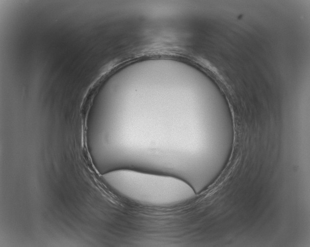 X0000083651219200702120827