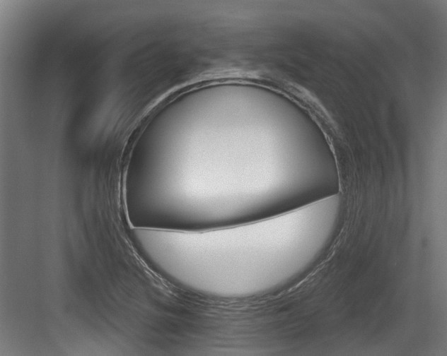 X0000083651220200702120827