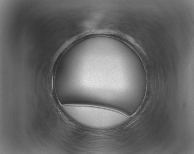 X0000083651221200702120828
